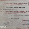 Acercar imagen: certificate 17