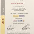 Acercar imagen: certificate 9