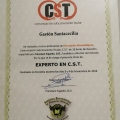 Acercar imagen: certificate 17