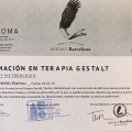 Acercar imagen: certificate 2