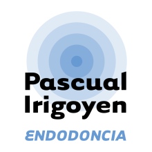 Acercar imagen: Javier Pascual Irigoyen, Dentista Logroño