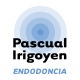 Javier Pascual Irigoyen