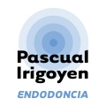 Javier Pascual Irigoyen, Dentista Logroño