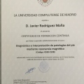 Acercar imagen: certificate 19