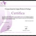 Acercar imagen: certificate 4