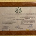 Acercar imagen: certificate 10