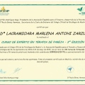 Acercar imagen: certificate 8