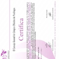 Acercar imagen: certificate 14