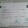 Acercar imagen: certificate 16