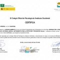 Acercar imagen: certificate 2