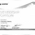 Acercar imagen: certificate 4