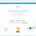 Acercar imagen: certificate 3