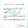 Acercar imagen: certificate 11
