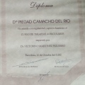 Acercar imagen: certificate 15