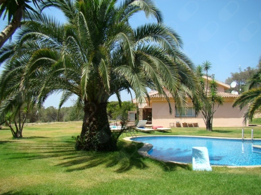 Jose Maria Fabregas Pedrell-0