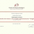 Acercar imagen: certificate 9