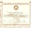 Acercar imagen: certificate 5