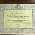 Acercar imagen: certificate 13