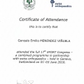 Acercar imagen: certificate 17