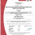 Acercar imagen: certificate 2
