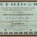Acercar imagen: certificate 5