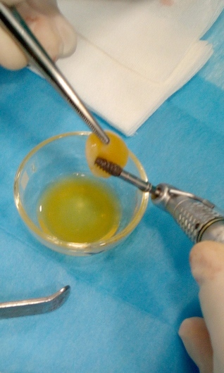 Josefina Arce Llupia-25