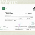 Acercar imagen: certificate 2