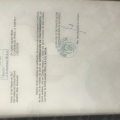 Acercar imagen: certificate 3
