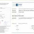 Acercar imagen: certificate 2