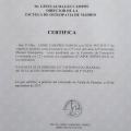 Acercar imagen: certificate 6