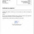 Acercar imagen: certificate 5
