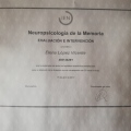 Acercar imagen: certificate 15