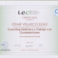 Acercar imagen: certificate 13