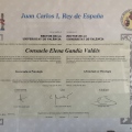 Acercar imagen: certificate 1