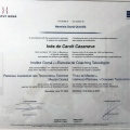 Acercar imagen: certificate 3