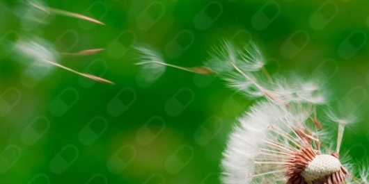 Belén Hinojosa Jara-4