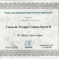 Acercar imagen: certificate 28