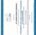 Acercar imagen: certificate 22