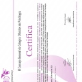 Acercar imagen: certificate 15