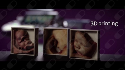 Guillermo Ripoll Humet-3