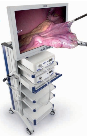 Francisco Miguel Jiménez Armenteros-7