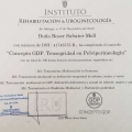 Acercar imagen: certificate 13