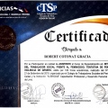 Acercar imagen: certificate 6