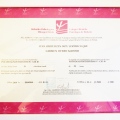 Acercar imagen: certificate 6
