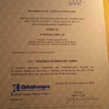 Acercar imagen: certificate 5