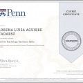 Acercar imagen: certificate 8
