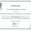 Acercar imagen: certificate 16