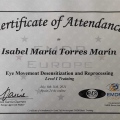 Acercar imagen: certificate 3