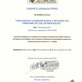 Acercar imagen: certificate 2