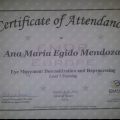 Acercar imagen: certificate 3